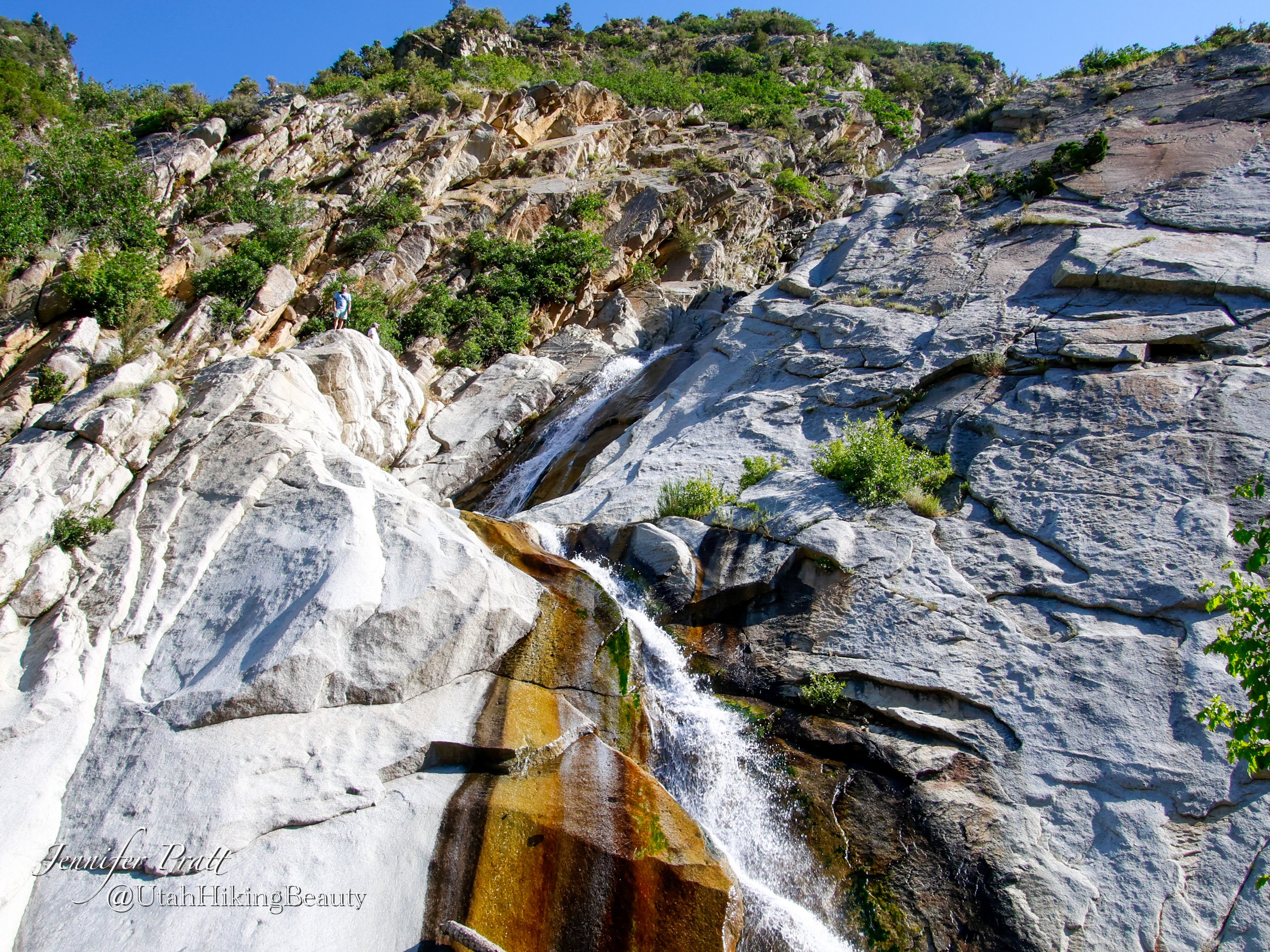You are currently viewing Lisa Falls