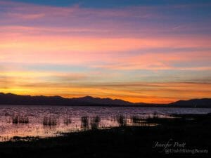 Read more about the article Utah Lake Sunsets