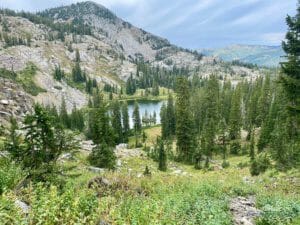 Read more about the article Brighton Lakes