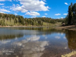 Read more about the article Payson Lakes