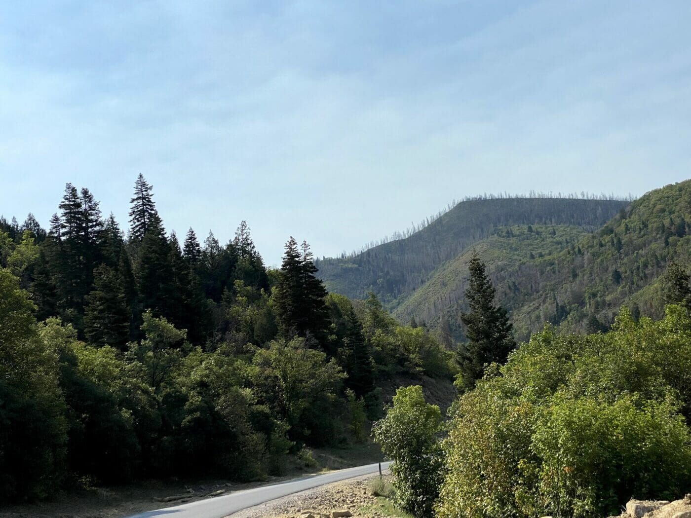 Nebo Loop – Utah Hiking Beauty