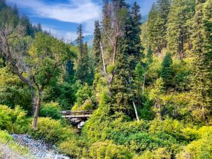 Read more about the article Icebox Canyon Loop