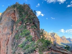 Read more about the article Angel’s Landing
