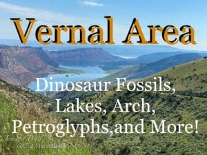 Read more about the article Vernal Area