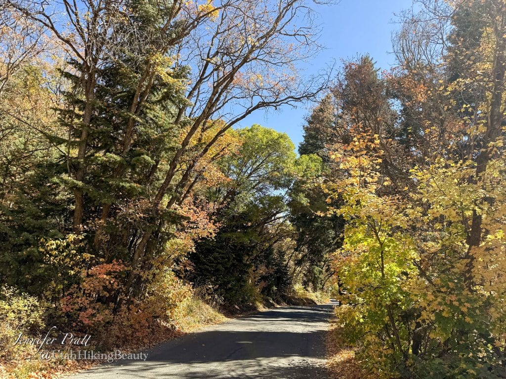 Read more about the article Butterfield Canyon