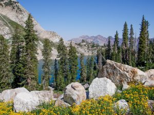 Read more about the article White Pine Lake
